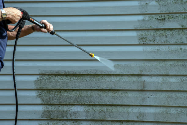 Best Residential Pressure Washing Services  in Big Pine, CA